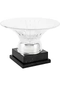 Trofeo ensaladera cristal-1 Thumb