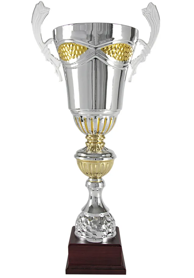 Cup Silber/Bronze