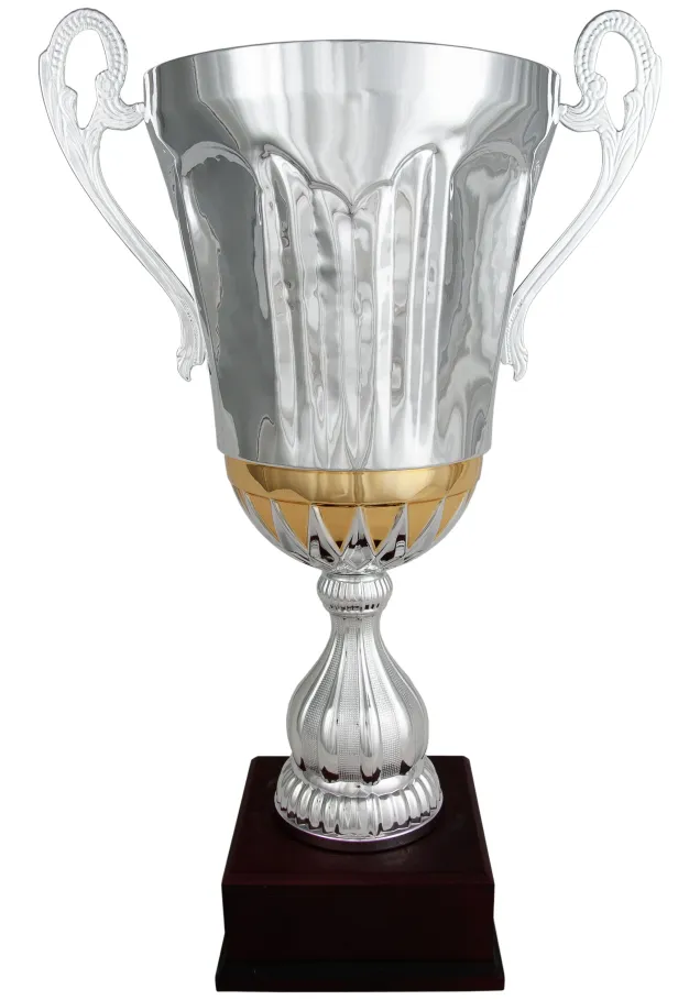 Cup Silber/Bronze Griffe
