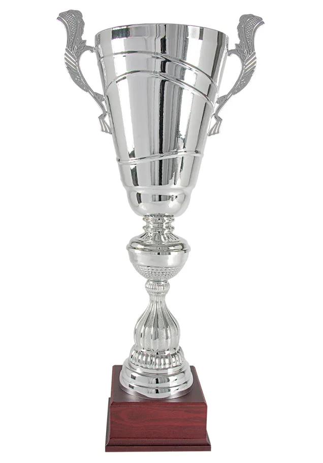 Bicolor Cup Silber/Gold