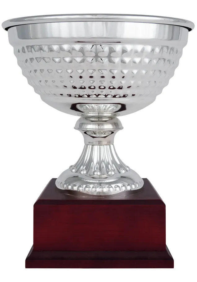 Silber Tasse Minischüssel