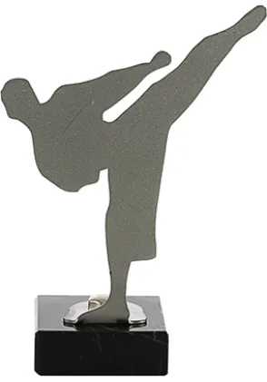 Karate Trophy aus Metall