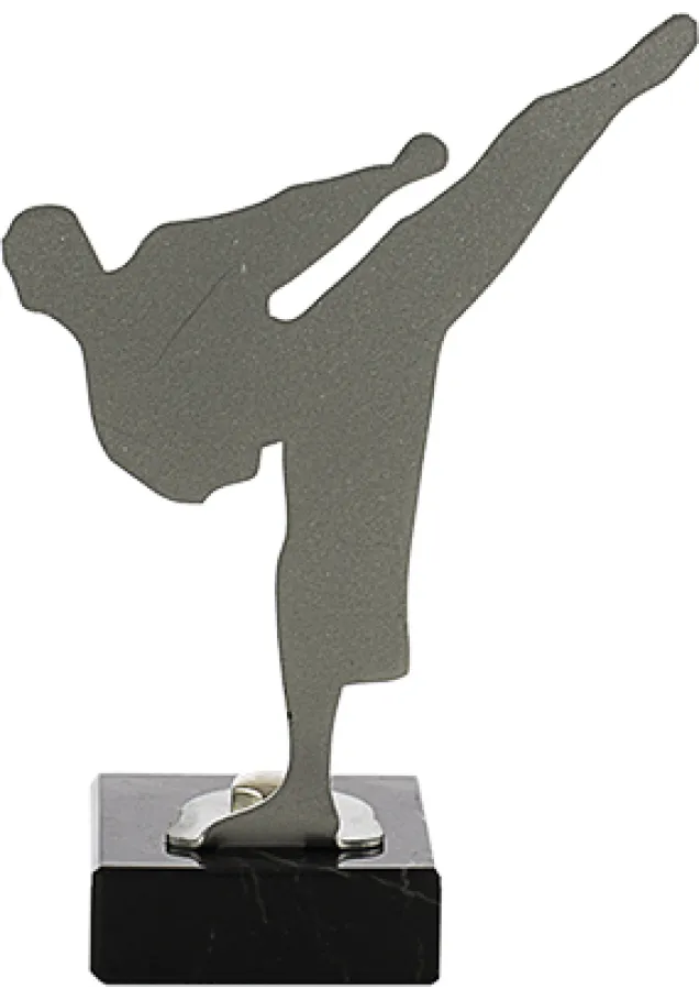 Karate Trophy aus Metall