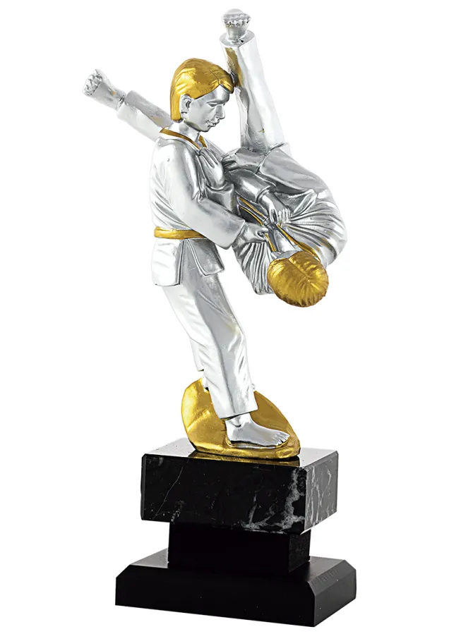 Judo-Spieler-Trophäe