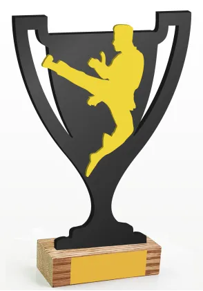 Kampfsport-Cup-Trophäe