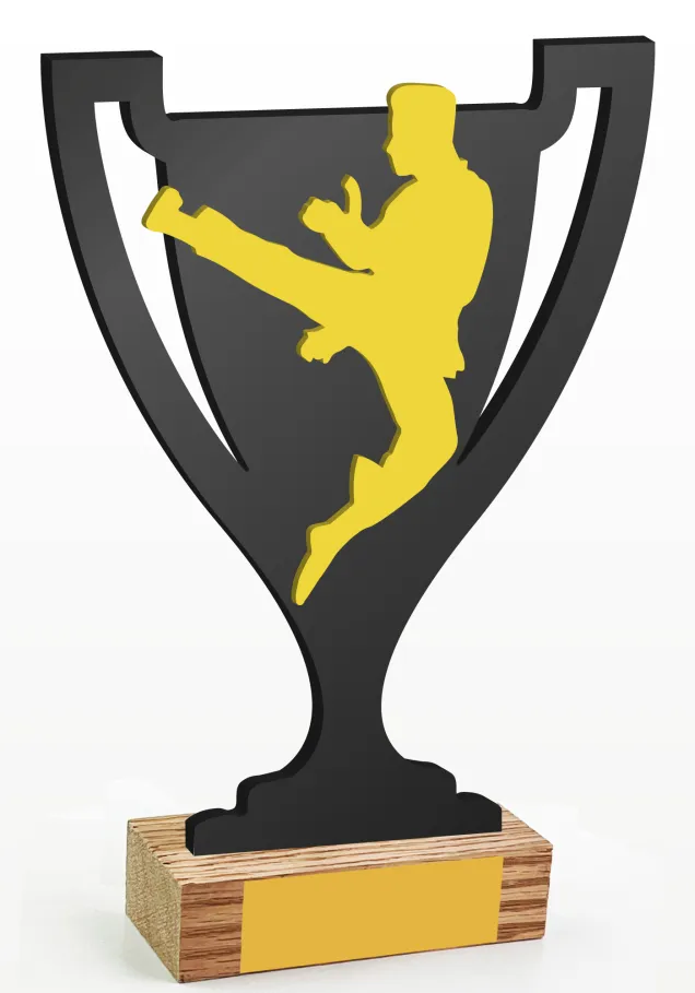 Kampfsport-Cup-Trophäe