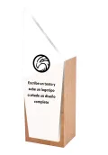 Sportpreis aus Holz Thumb