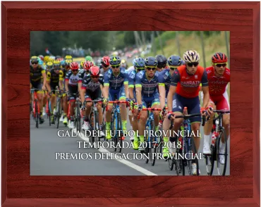 Vollfarbige Gedenktafel aus Holz