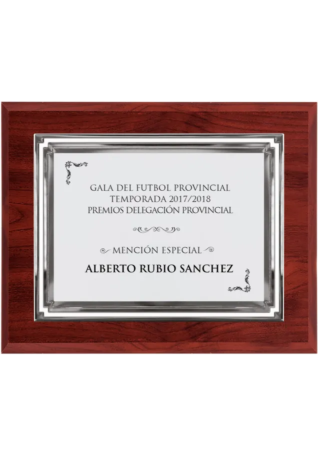 Große silberne Gedenktafel