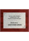 Placa conmemorativa madera en color piedra Thumb