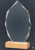 Trofeo de cristal y madera en la base Thumb