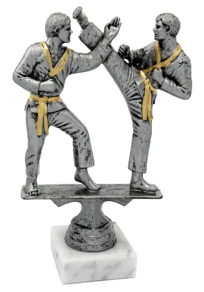 Karate-Trophäe aus Kunstharz