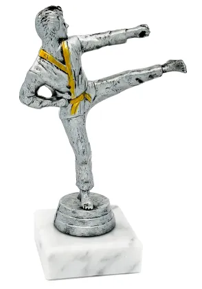 Karateka-Trophäe aus Kunstharz