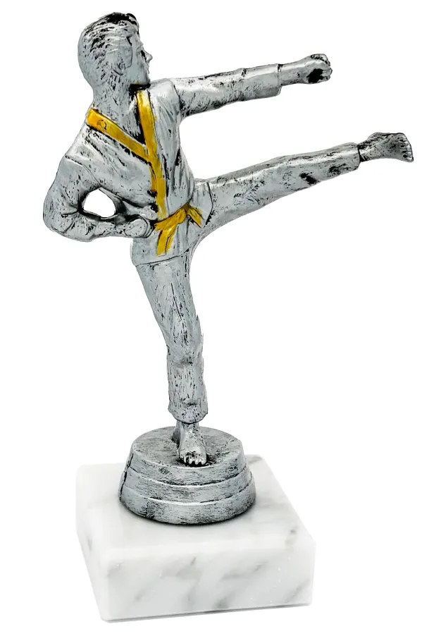 Karateka-Trophäe aus Kunstharz