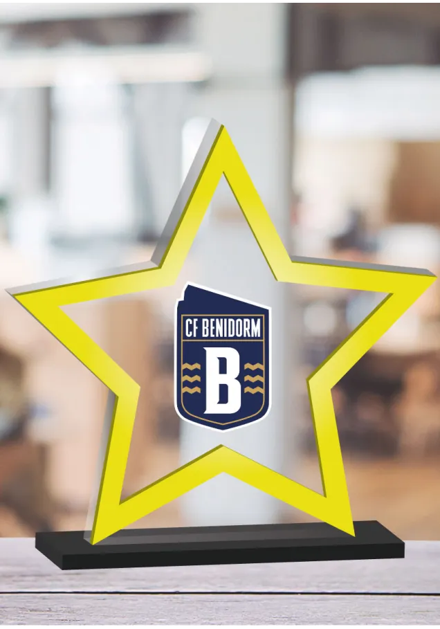 Sterntrophäe aus Methacrylat