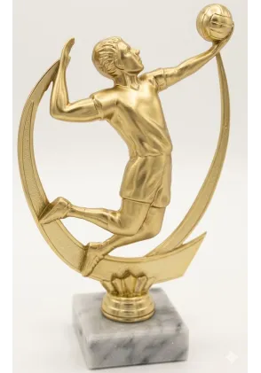 Volleyball-Trophäe