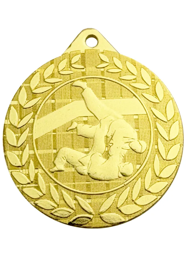 Sport-Judo-Medaille