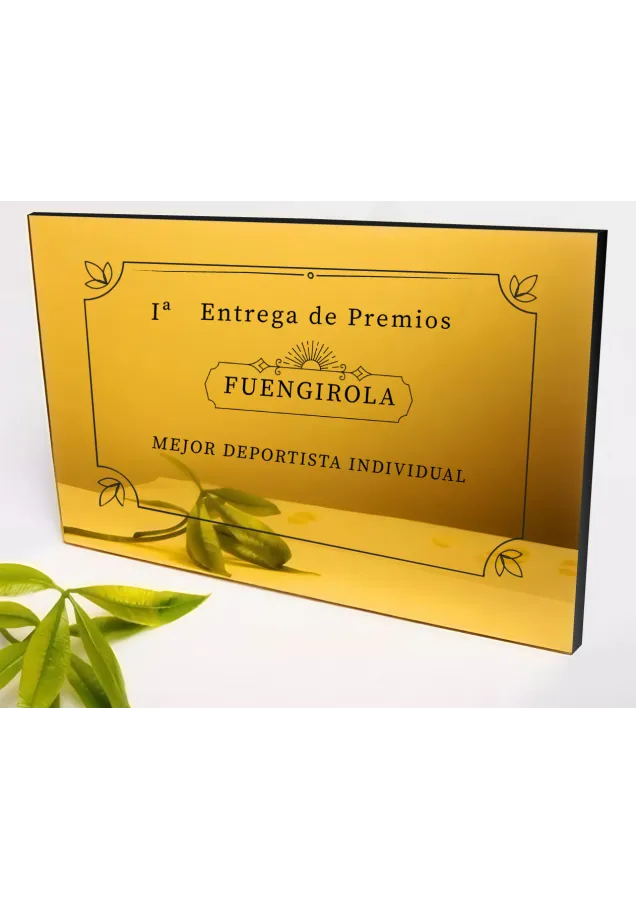 Gedenktafel aus Methacrylat mit goldenem Spiegel