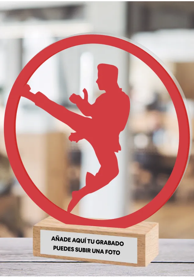 Karate-Trophäe aus Methacrylat und Holz