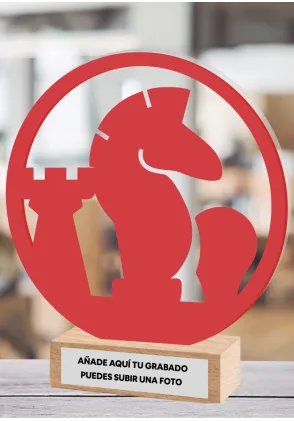 Schachtrophäe aus Methacrylat und Holz