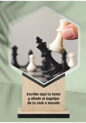 Schachtrophäe aus Acryl und Holz