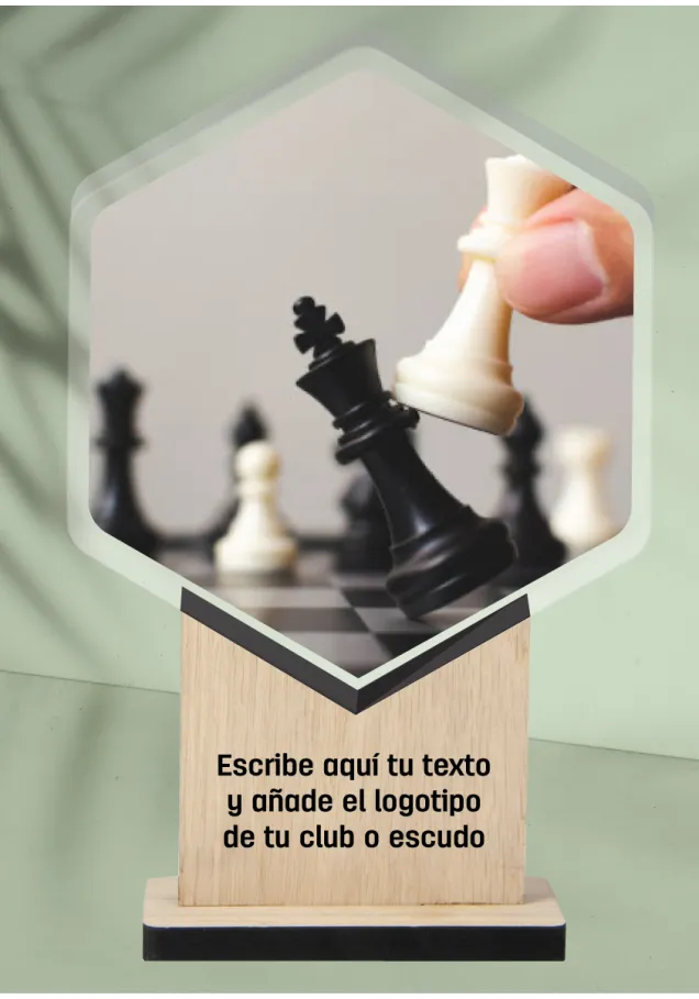 Schachtrophäe aus Acryl und Holz