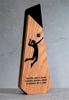 Volleyball-Pokal aus Holz