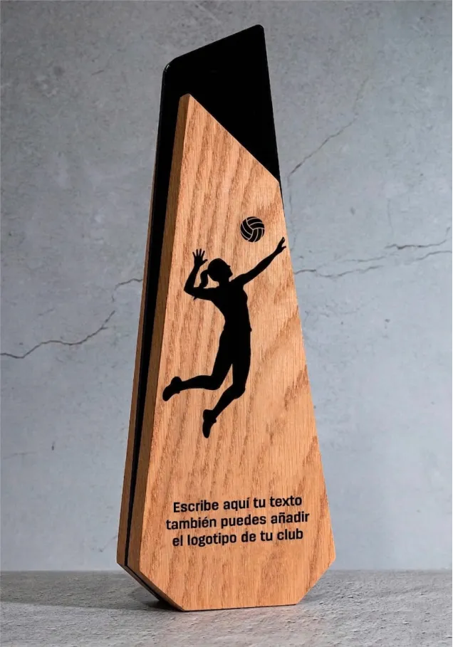 Volleyball-Pokal aus Holz