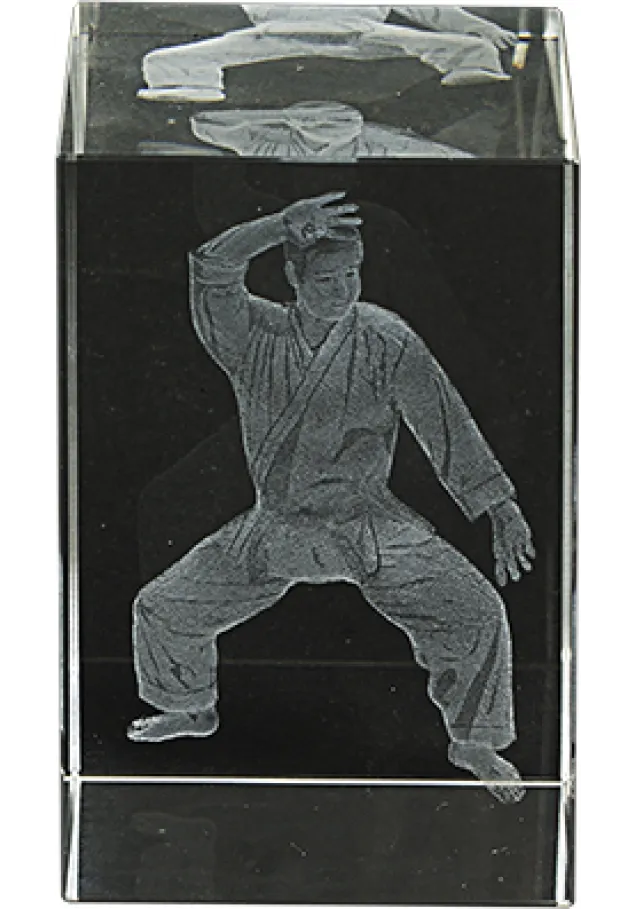 3D-Kristall-Trophäe Karate