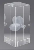 Trofeo cristal 3D Ping Pong Thumb