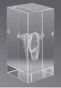 Trofeo cristal 3D Caballos Thumb