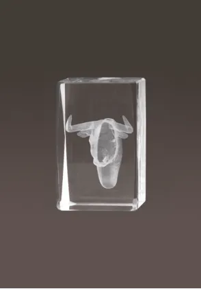 3D-Kristall-Trophäe Toros