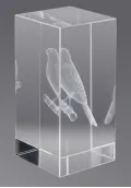 Trofeo cristal 3D Pjaros Thumb