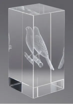 3D-Kristall-Trophäe Vögel