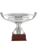 Trofeo copa lisa tipo ensaladera-1 Thumb