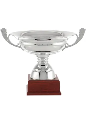 glatten Glassalatschüssel Art