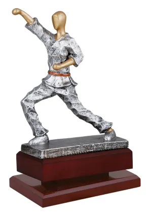 Trophy Harz Martial Arts