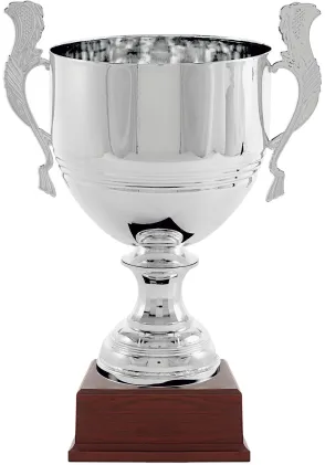 Glassalatschüssel plt