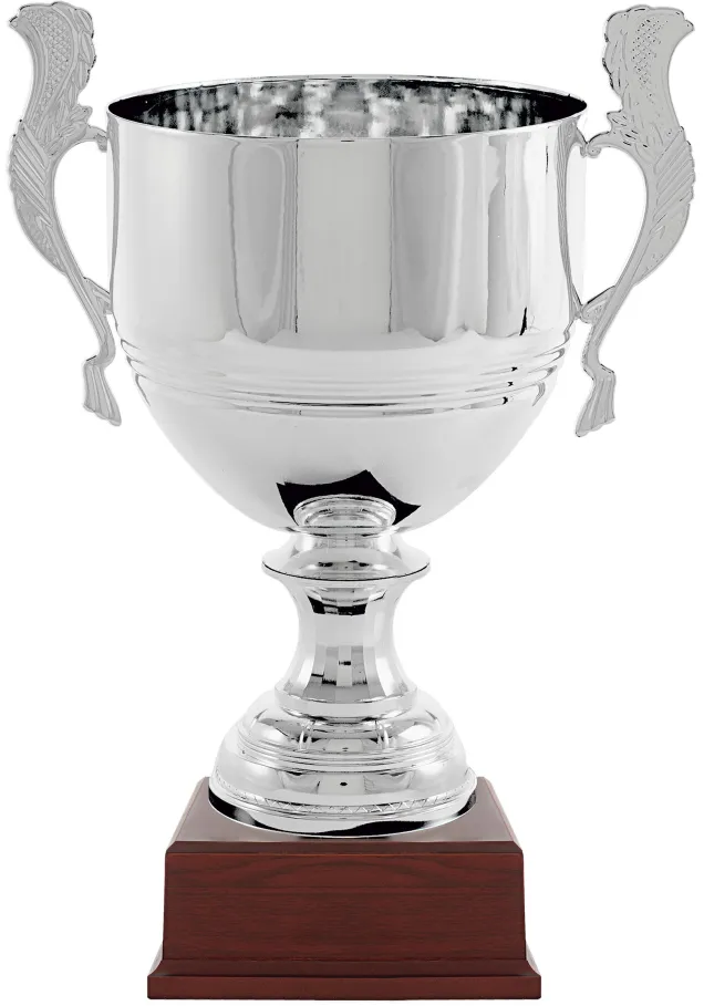 Glassalatschüssel plt