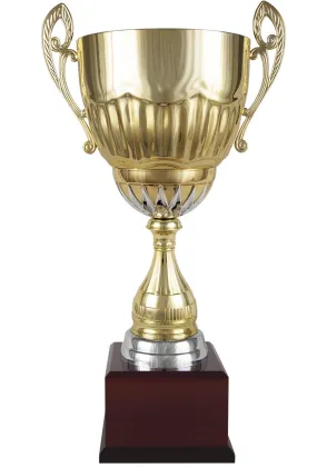 Interlaced Cup Silber/Gold