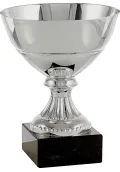 Trofeo Copa Mini Plata-1 Thumb