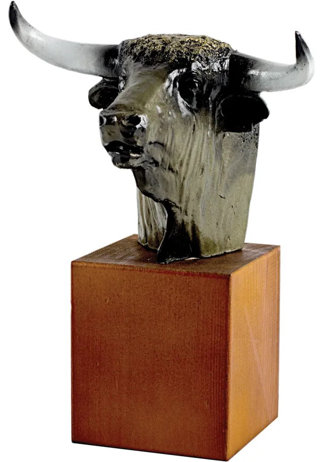 Bull Kopf Trophäe