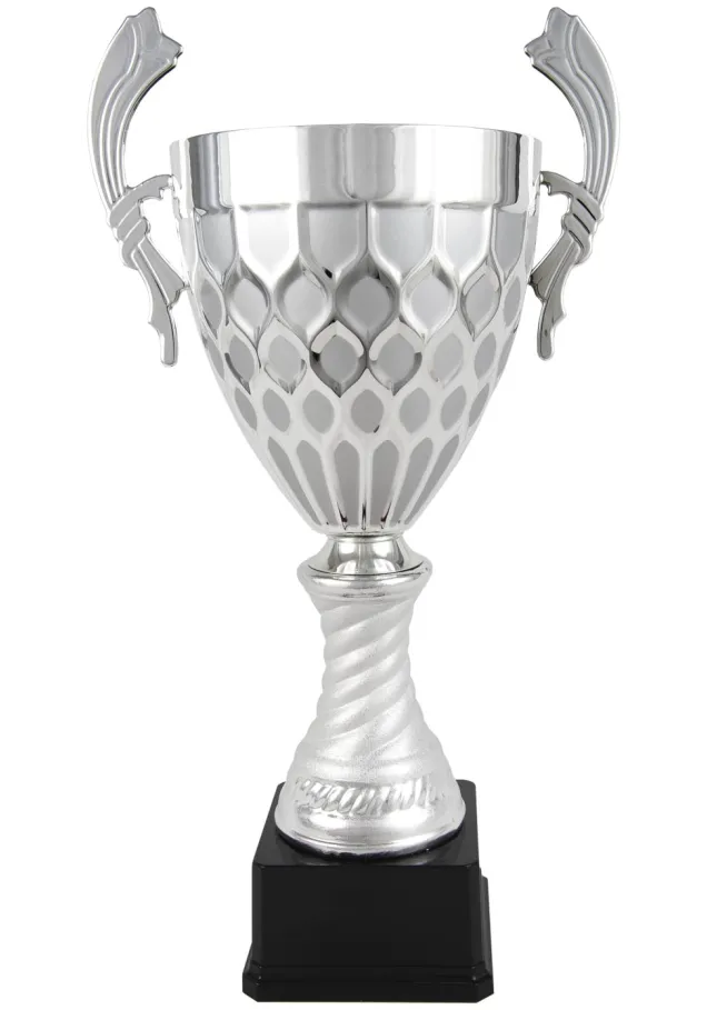 Strukturierter-Cup-Trophäe