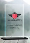 Trofeo de Metacrilato Personalizado Thumb