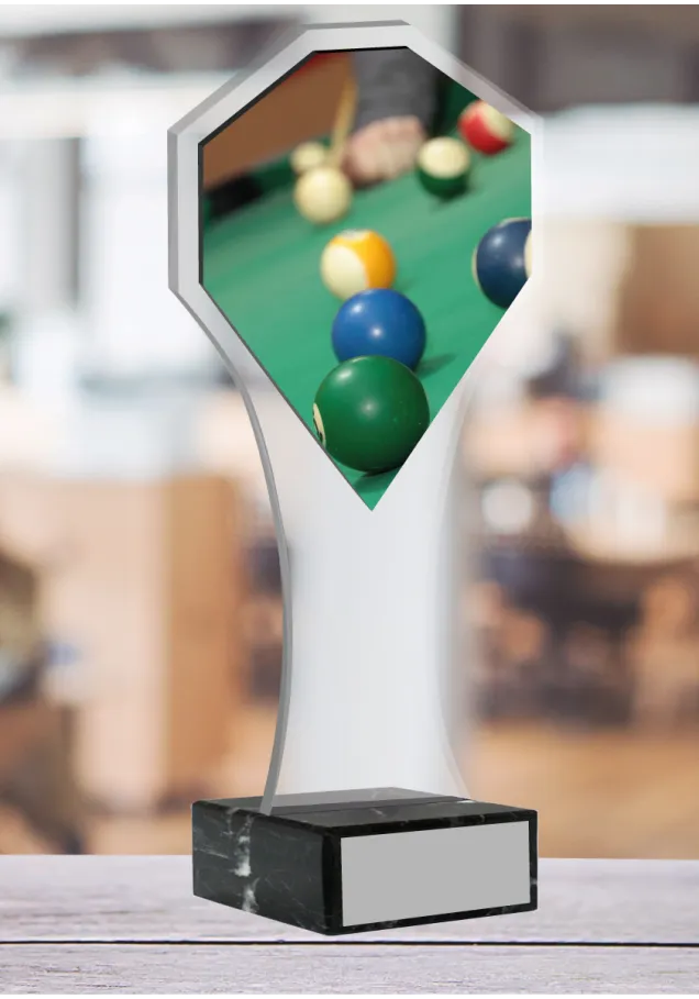 Billard-Trophäe in Methacrylat