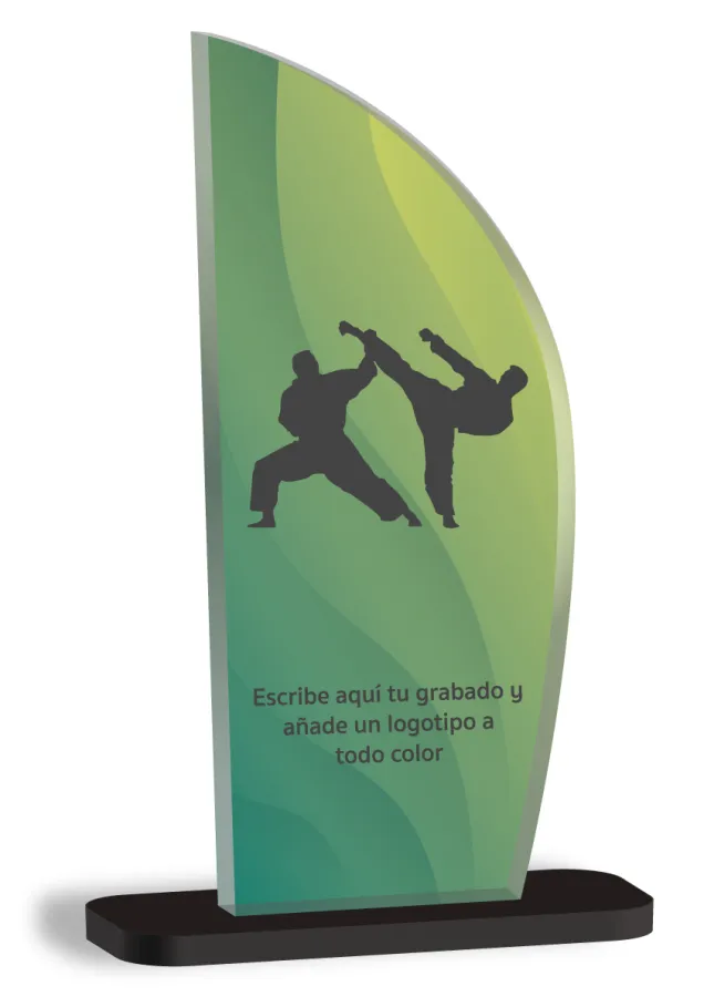 Judo-Trophäe in Methacrylat