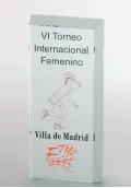 Trofeo de cristal prisma rectangular biselado Thumb