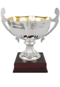Trofeo copa bicolor ensaladera plata asas Thumb