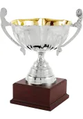 Trofeo copa bicolor ensaladera plata asas Thumb