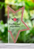 Trofeo de estrella en metacrilato Thumb